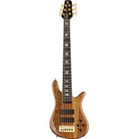 Spector : NS-6 Walnut