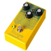 EarthQuaker Devices : Blumes Low Signal Shredder