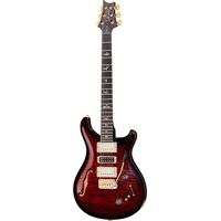 PRS (Paul Reed Smith) : Special S/H 22 10 Top FS