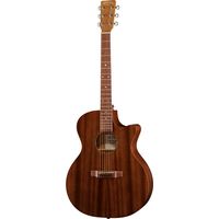 Martin Guitars : GPC-10E Roadseries Special