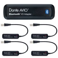Dante : AVIO Output 0x1 Pack + free BT