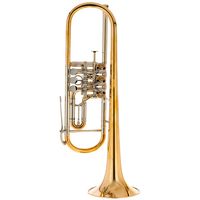 Gerd Dowids : M-Series Bb-Trumpet UL