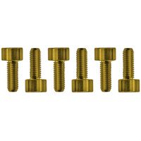 Floyd Rose : Saddle Mounting Screws Gold