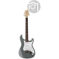 PRS (Paul Reed Smith) : SE Silver Sky Storm Gray LH