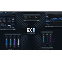 iZotope : RX 11 Standard