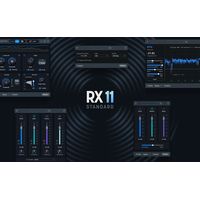 iZotope : RX 11 Standard Crossgrade
