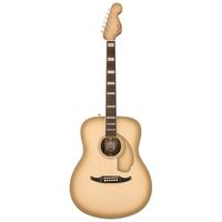 Fender : LTD Palomino Vintage Antigua