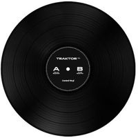 Native Instruments : Traktor Control Vinyl Black