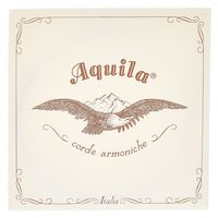 Aquila : 160D140 Wound NG Lute String