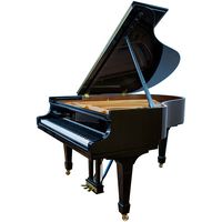 Steinway and Sons : M-170