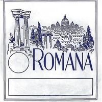 Romana : Violin String D 4/4