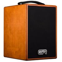 GRGuitar : WDAC6 Acoustic Combo Wood