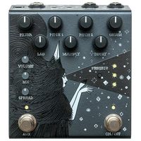 Old Blood Noise Endeavors : Dark Star Stereo Reverb BK