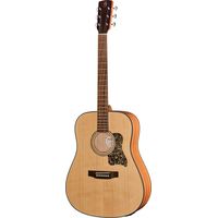 Harley Benton : CLD-65SE NT