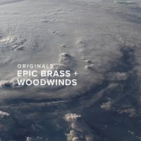 Spitfire Audio : Orig. Epic Brass and Woodwinds