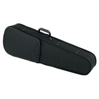 Roth and Junius : RJVC-175 Violin Case 4/4