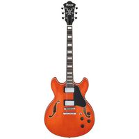 Ibanez : AS73-TTF