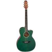 Takamine : LTD2025