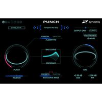 Zynaptiq : Punch