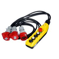 Botex : 2 Ch. Chain Hoist Controller