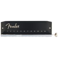 Fender : Blues Pro Chromatic 12H C