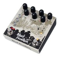 Old Blood Noise Endeavors : Black Fountain Stereo Delay