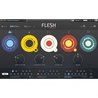 Native Instruments : Flesh