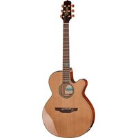 Takamine : FSF40C