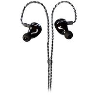 Fischer Amps : FA ACE