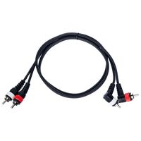 the sssnake : ARR2010