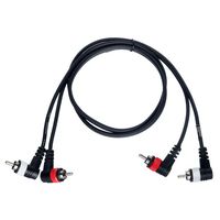 the sssnake : AAR2010