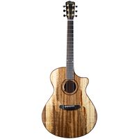 Breedlove : Oregon Dreadnought Concerto