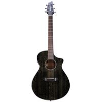 Breedlove : Rainforest S Concert CE BG
