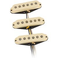 Fender : Ancho Poblano Strat Set