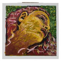 Pirastro : Evah Pirazzi Neo Violin 4/4