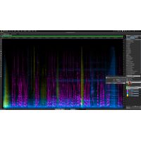 Steinberg : SpectraLayers Elements 12