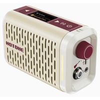 Hotone : Pulze Mini