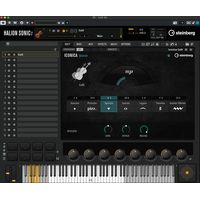 Steinberg : Iconica Sketch