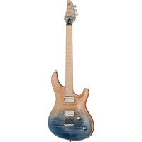 Mayones Guitars : Regius Core 6 AMH