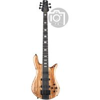 Spector : Euro 5 CST Spalted Maple Ltd