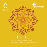 Galli Strings : OUD20 Turkish Tuning FC