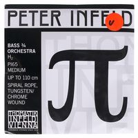 Thomastik : PI65 Double Bass B String