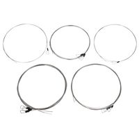 Svaram : Svaraveena Strings Set