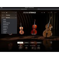 AIR Music Technology : Studio Strings