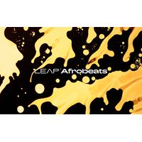 Native Instruments : Leap Expansion Afrobeats