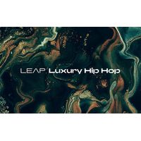 Native Instruments : Leap Expansion Luxury Hip Hop