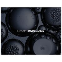 Native Instruments : Leap Expansion RnB Licks