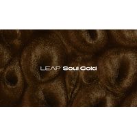 Native Instruments : Leap Expansion Soul Gold