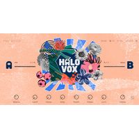 Native Instruments : Halo Vox