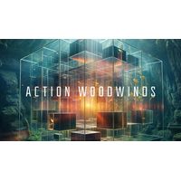 Native Instruments : Action Woodwinds